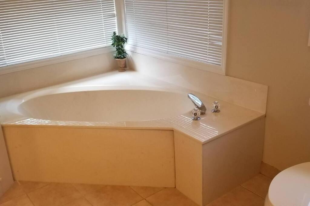 Black Diamond Beauty With Concierge Service Lecanto Extérieur photo